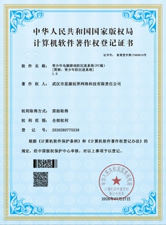 计算机软件著作权登记证书缩略图